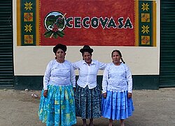 Die Kaffeekooperative CECOVASA aus Peru