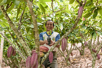 Kakaobauer der Kooperative ACOPAGRO