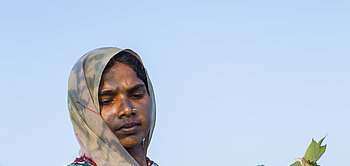 Baumwoll-Arbeiterin Sapna Mandloi von Pratibha aus Indien beim Pflücken von Fairtrade-Baumwolle