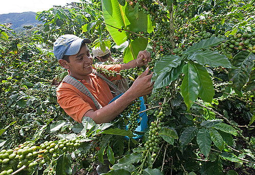 Kaffeebauer in Nicaragua