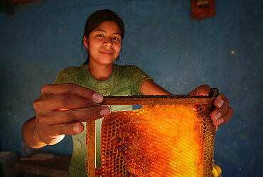 Sandri Lizeth García Herrera, 20, holds a frame of honeycomb before putting it into a centrifuge. CIPAC, Cooperativa Integral de Producción Apicultores de Cuilco, is a Fairtrade-certified honey-producing organisation in Cuilco, Huehuetenango, Guatemala.