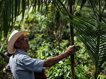 Kleinbauer aus Honduras bei der Feldarbeit