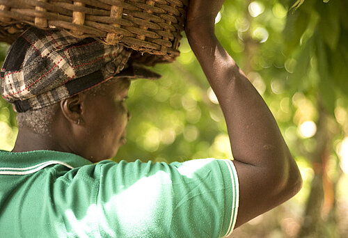 Bäuerin einer Kakao-Kooperative in Ghana