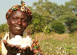 Die Baumwollkooperative US-GPC de Kédougou im Senegal