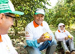Die Orangenkooperative COOPERSANTA - Cooperativa de frutas de Pequeños Agricultores de Sta. Maria in Brasilien