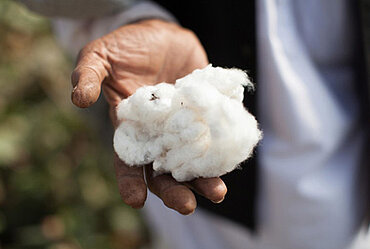 Fair gehandelte Baumwolle nach Fairtrade-Standards